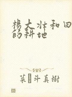 杨大壮和田桂花的耕地