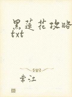 黑莲花攻略手册txt