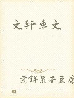 文轩车文
