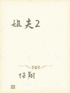 姐夫2