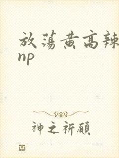 放荡黄高辣h文np