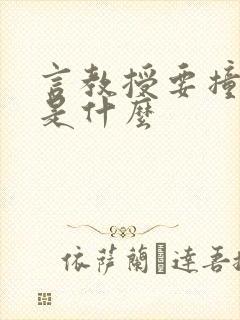 言教授要撞坏了是什么