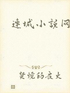 连城小说网