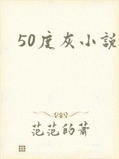 50度灰小说