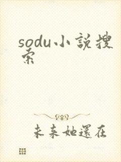 sodu小说搜索