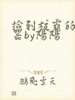 捡到校霸的遥控器by阳阳