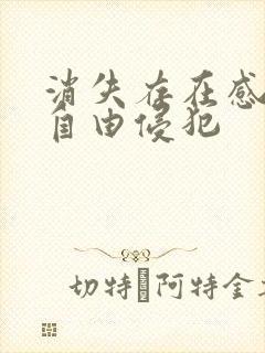 消失存在感消失自由侵犯