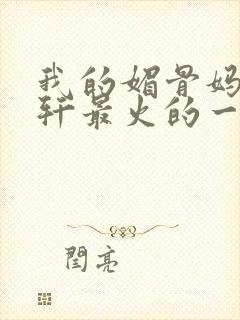 我的媚骨妈妈林轩最火的一句