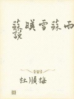 苏映雪苏雨柔小说