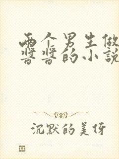 两个男生做酿酿酱酱的小说