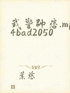 武警帅痞.mp4bad2050
