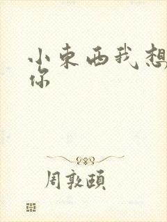 小东西我想弄坏你