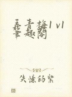 弄青梅1 v1笔趣阁