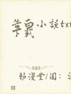 告白小说txt下载