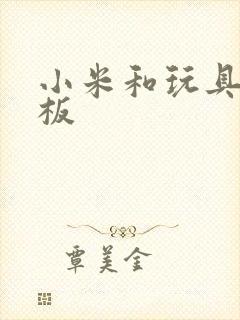 小米和玩具店老板