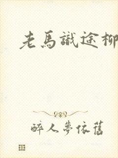 老马识途柳娇娇