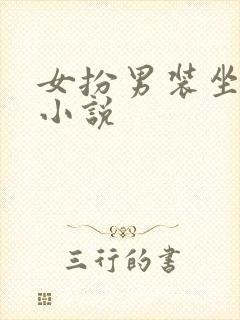 女扮男装坐江山小说