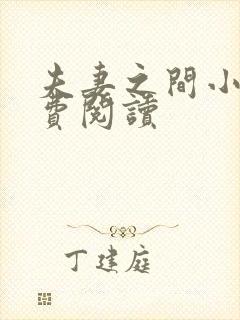 夫妻之间小说免费阅读