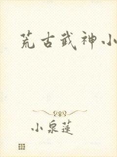 荒古武神小说
