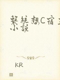系统想C宿主的小说