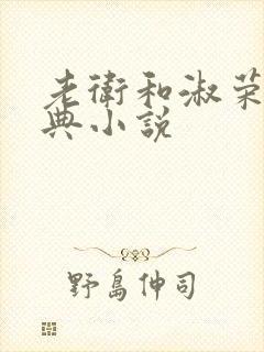 老卫和淑荣的经典小说