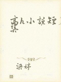 高h小说短篇合集