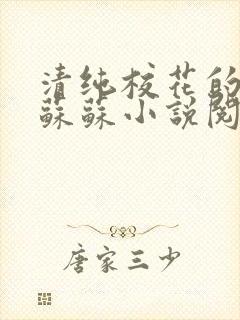 清纯校花的日常苏苏小说阅读全文