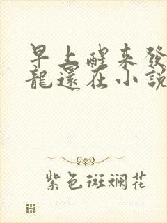 早上醒来发现巨龙还在小说