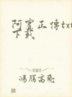 阿宾正传txt下载