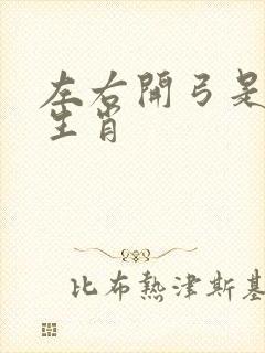 左右开弓是什么生肖