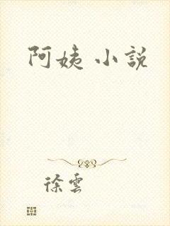 阿姨 小说