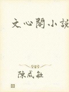 文心阁小说