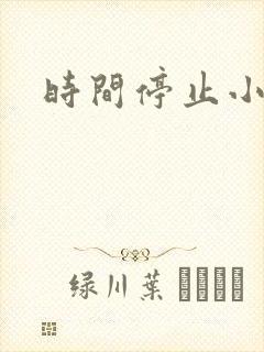 时间停止小说