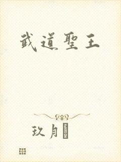 武道圣王
