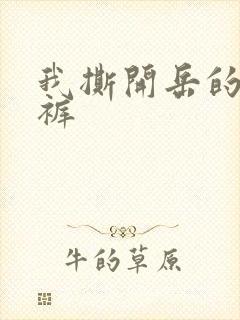 我撕开岳的丁字裤