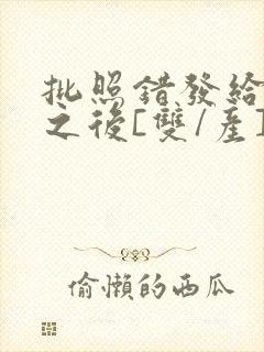 批照错发给情敌之后[双/产]