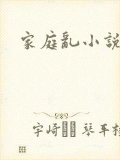 家庭乱小说