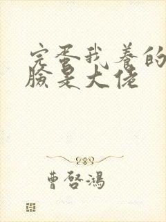 完蛋我养的小白脸是大佬