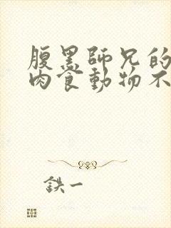 腹黑师兄的日常肉食动物不食草