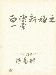 白洁新婚之夜第一章