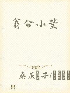 翁公小莹