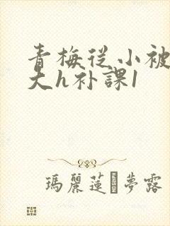 青梅从小被c到大h补课1