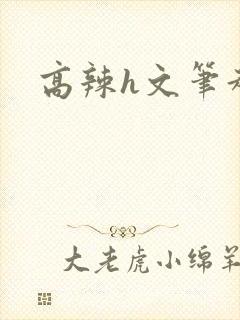 高辣h文笔趣阁