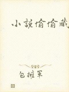 小说偷偷藏不住