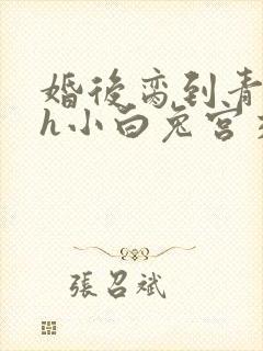 婚后脔到青梅哭h小白兔宫交h