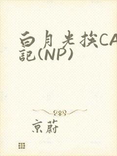 白月光挨CAO记(NP)