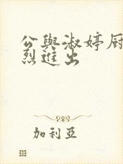 公与淑婷厨房猛烈进出