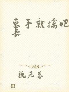 束手就擒吧韩队长