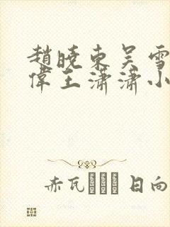 赵晓东吴雪晴郑伟王潇潇小说