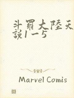 斗罗大陆天狂传说1一5